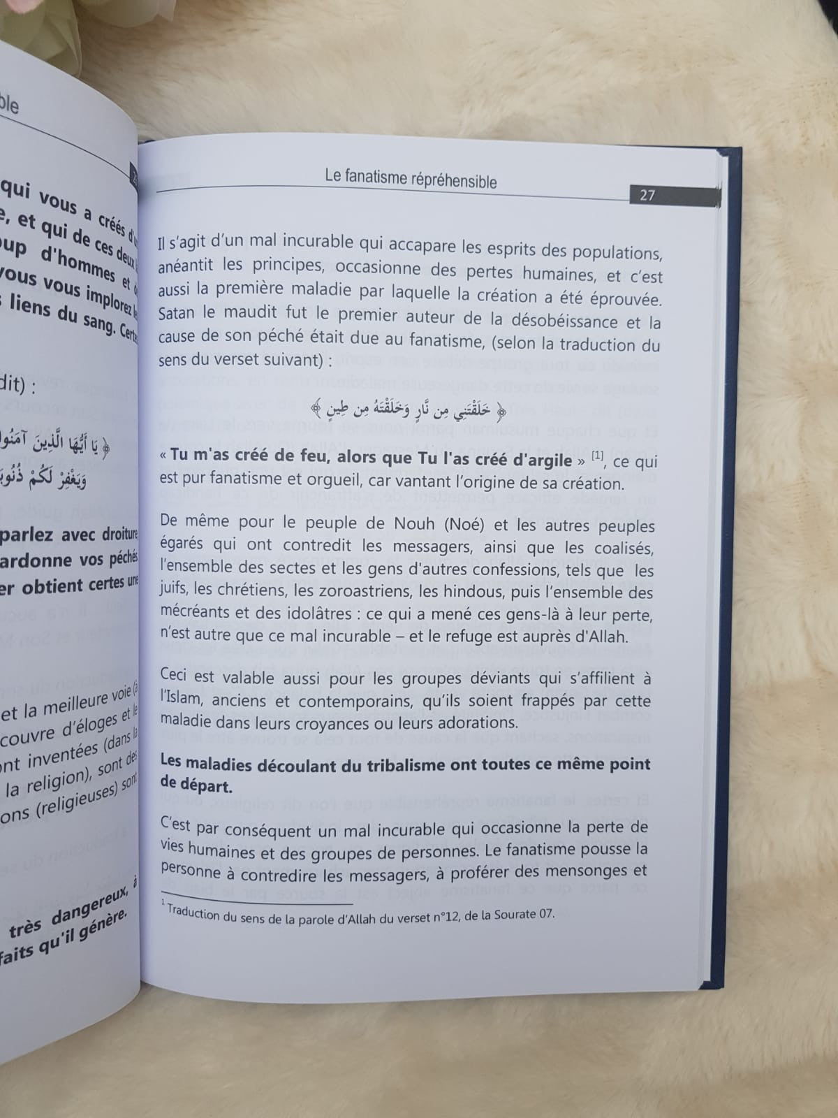 Le Fanatisme répréhensible