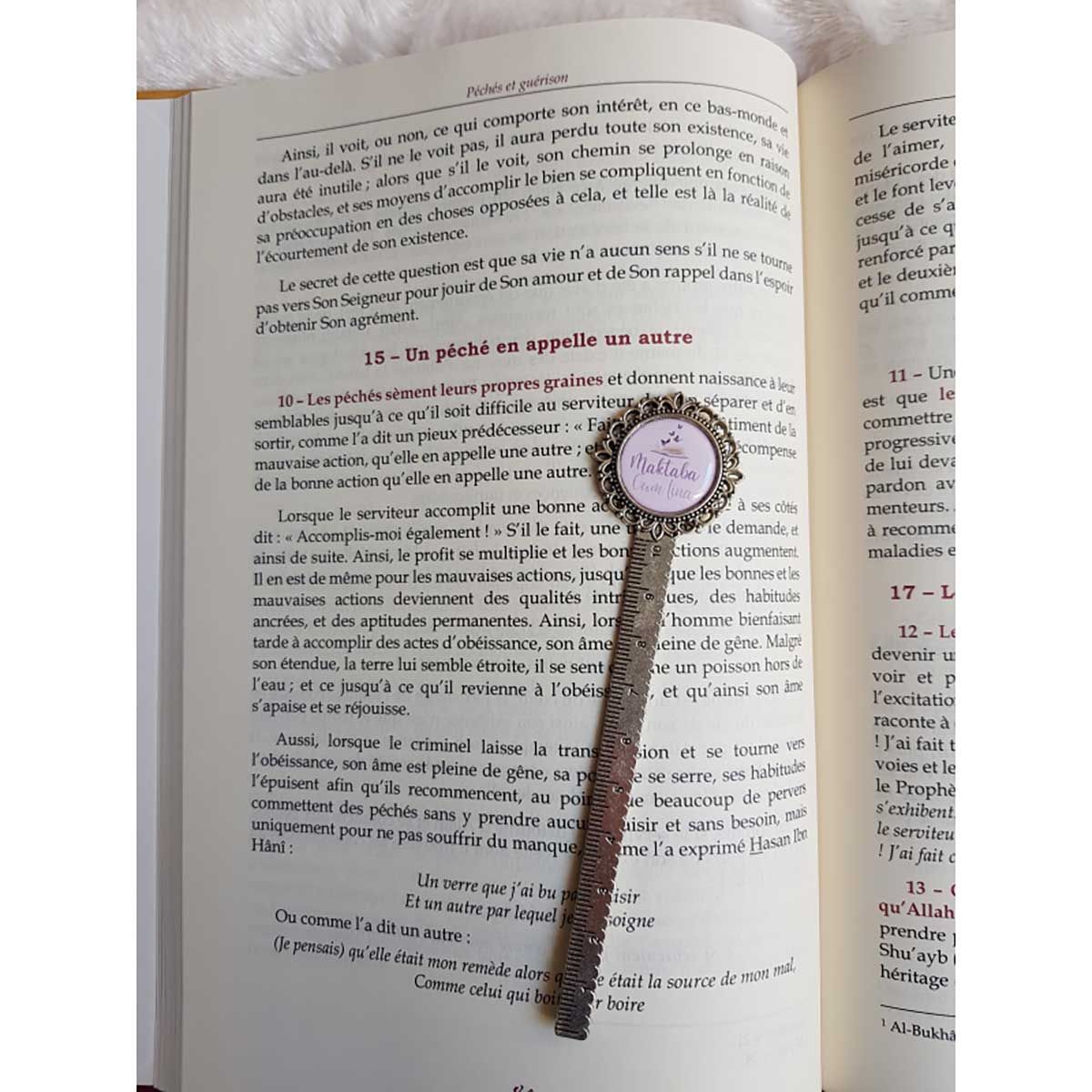 Péchés et Guérison - Ibn Al-Qayyim - Édition TAWBAH