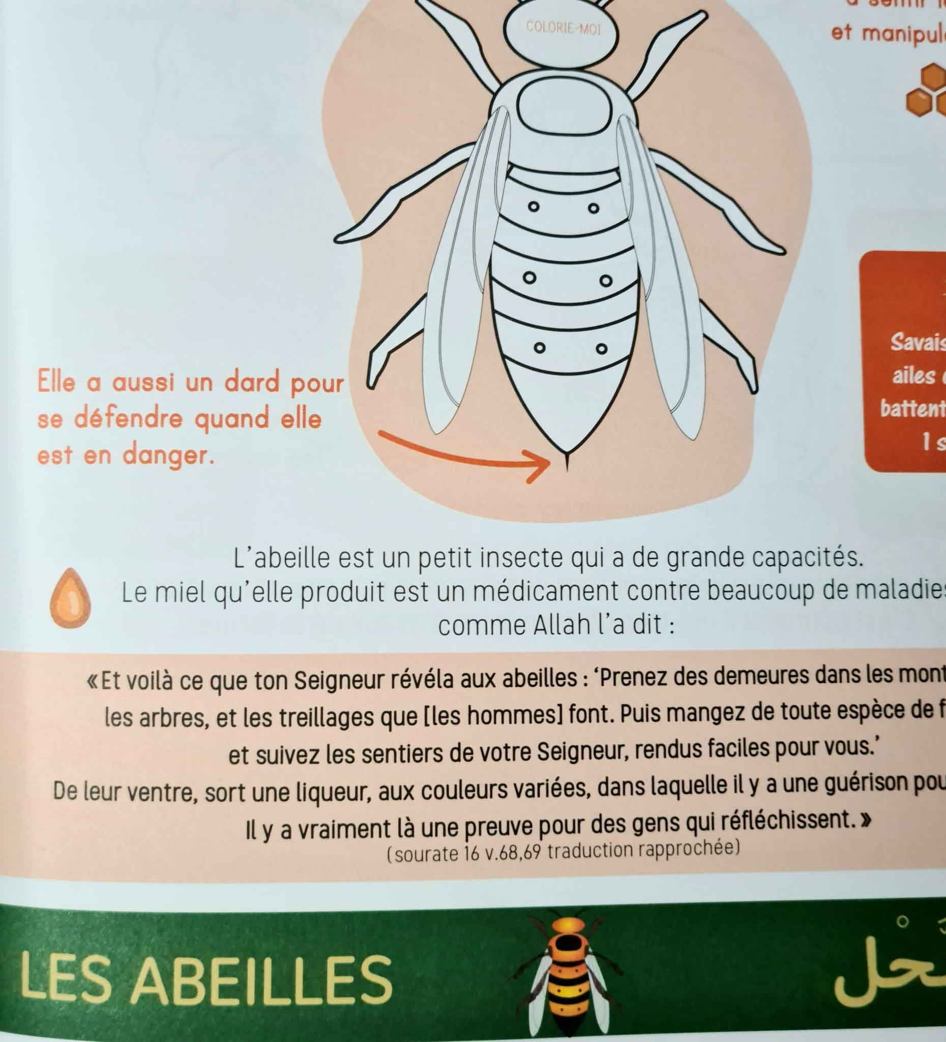 Je découvre les animaux cités dans le coran