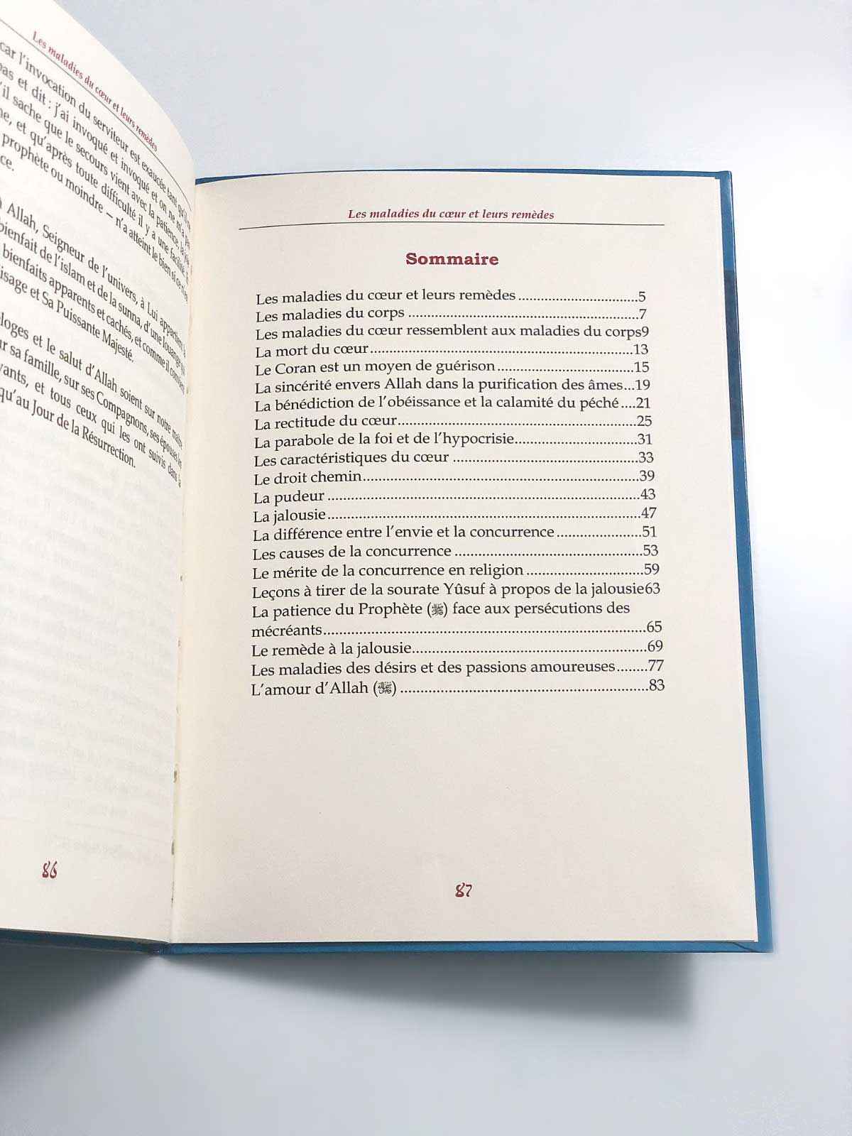 Les maladies du coeur - Shaykh Al-Islam Ibn Taymiyyah (Édition Tawbah)