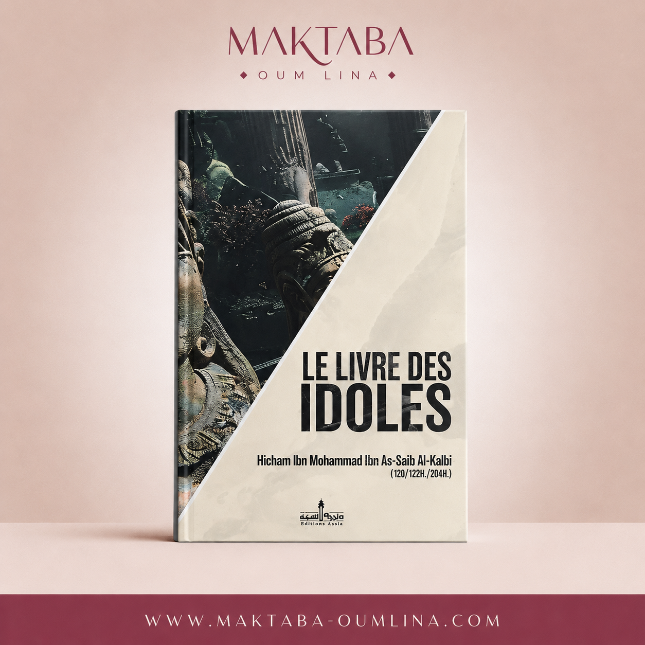Le livre des idoles